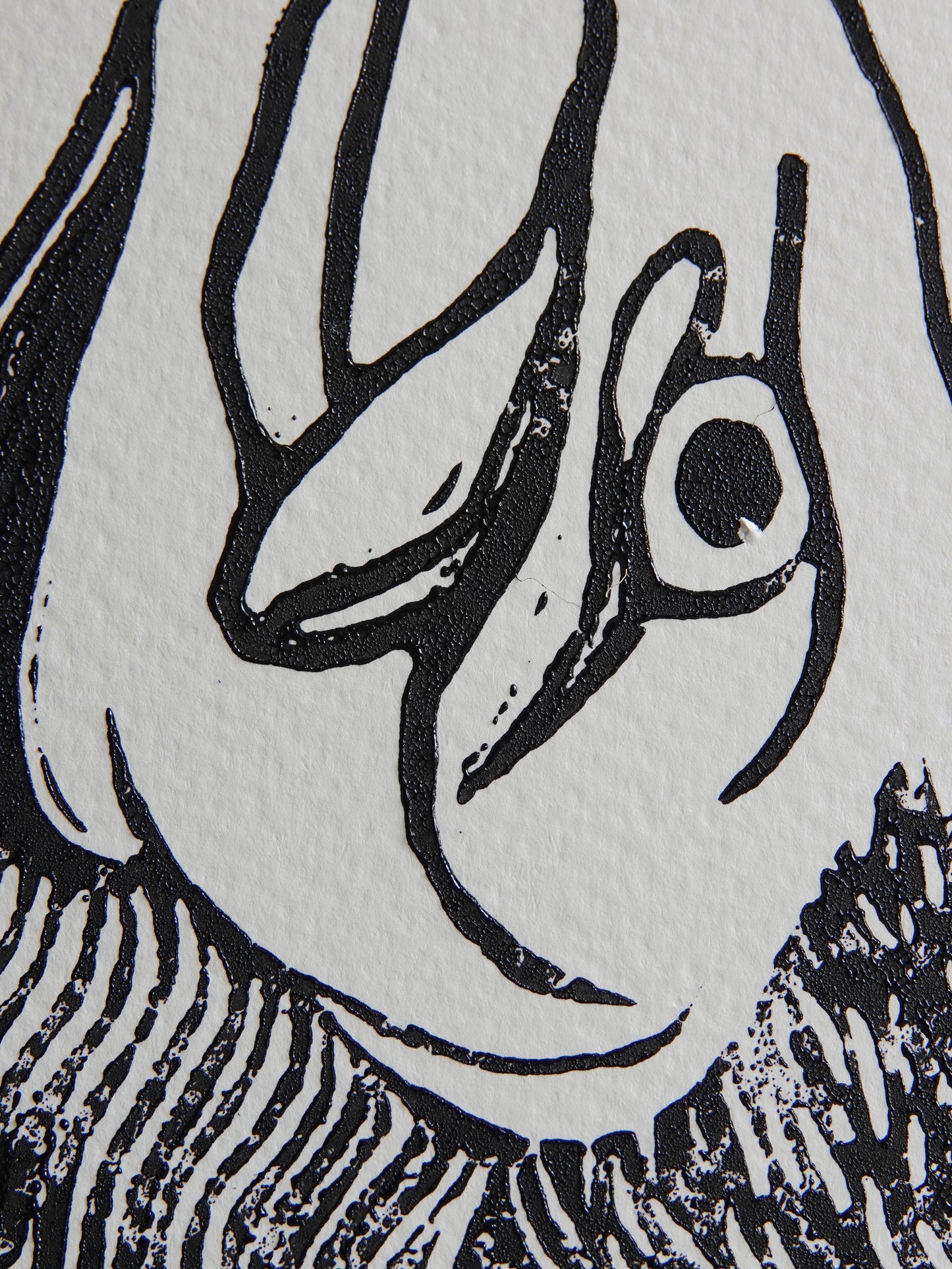 Lino Print 'Salmon's Heed' A6