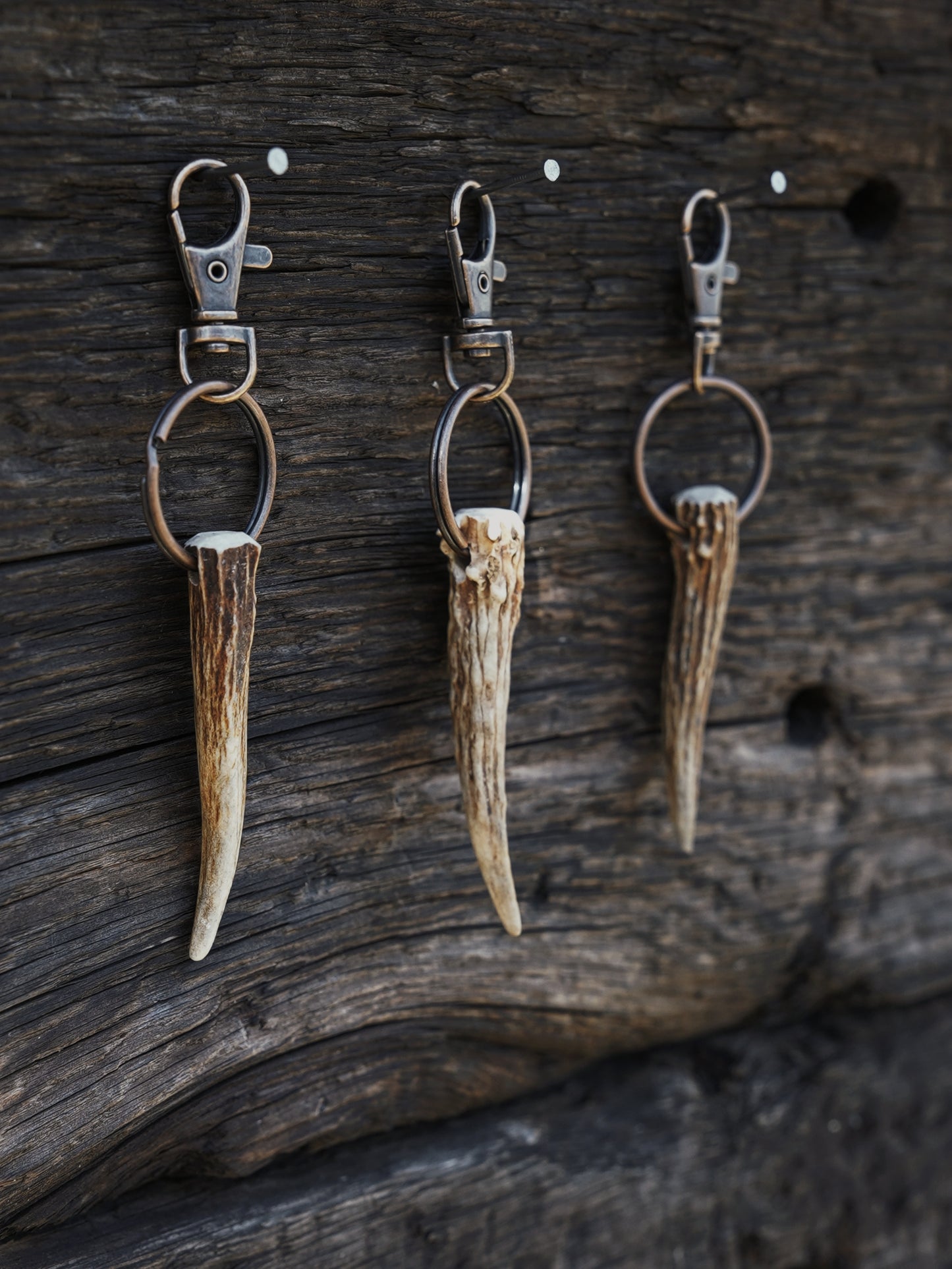Extra Small Roe Spike Antler Keyrings