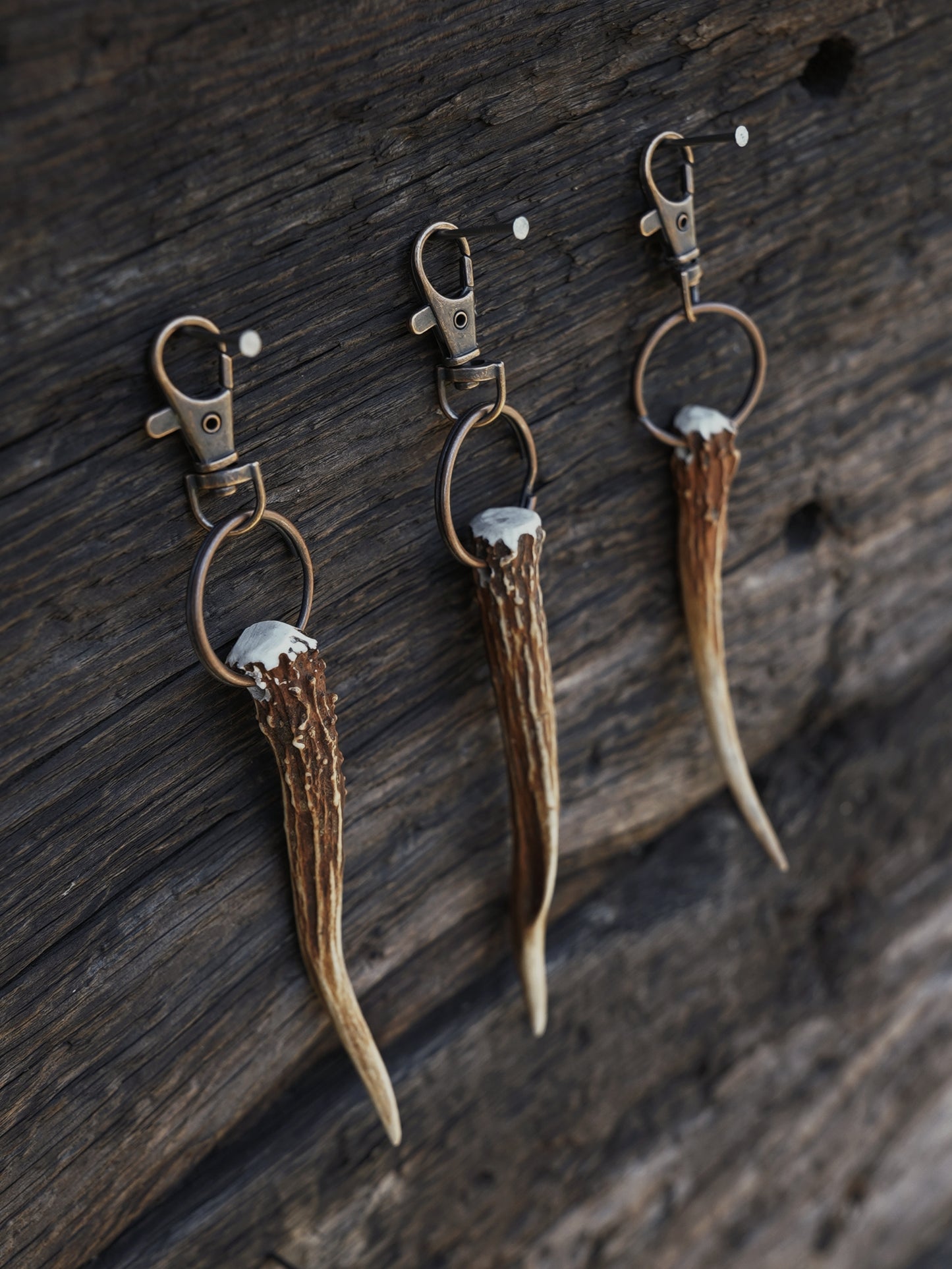 Roe Spike Antler Keyrings
