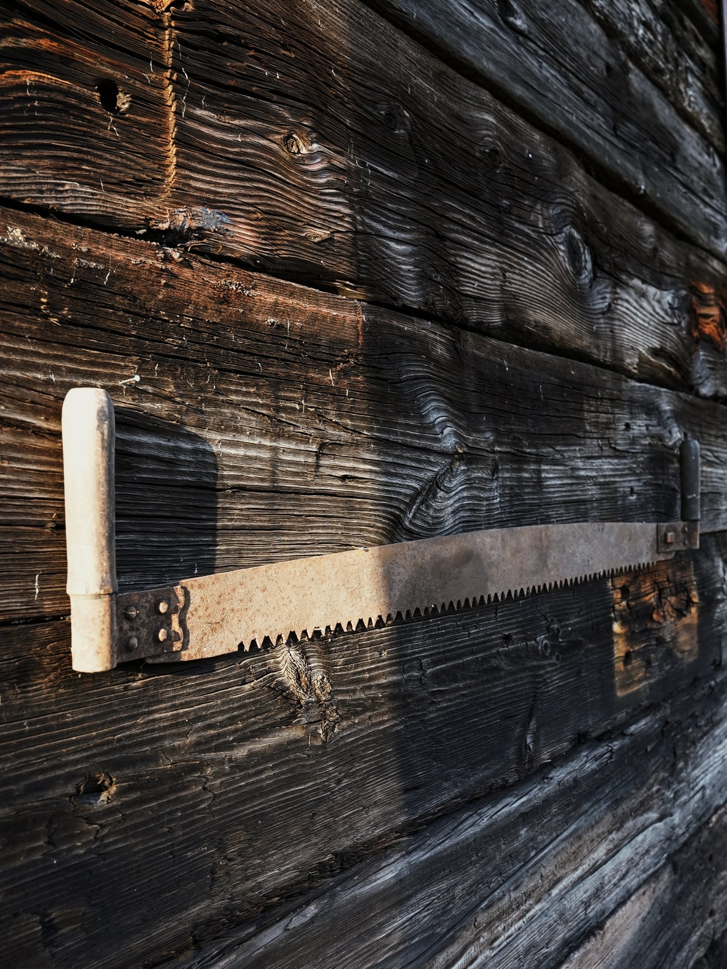 Antique Double Handled Saw