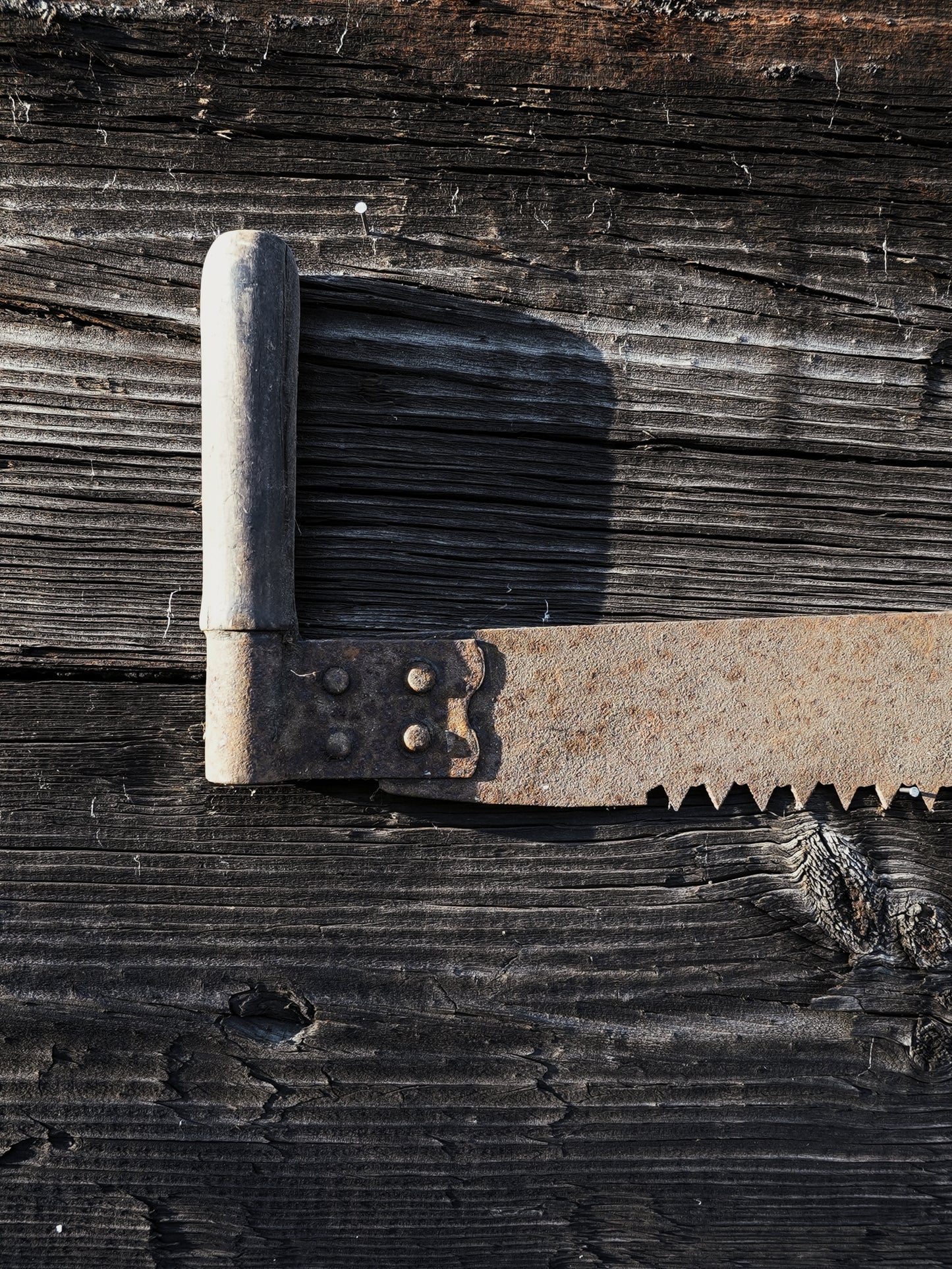 Antique Double Handled Saw