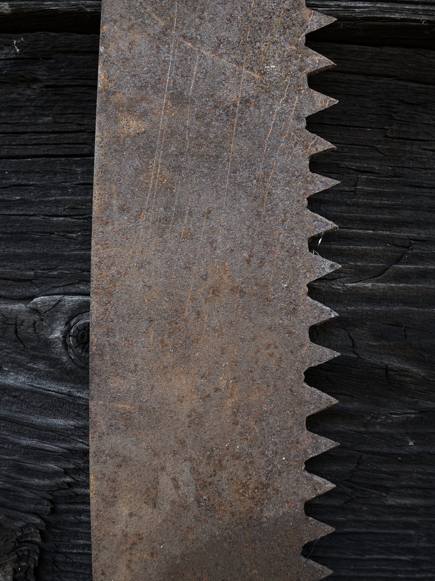 Antique Double Handled Saw