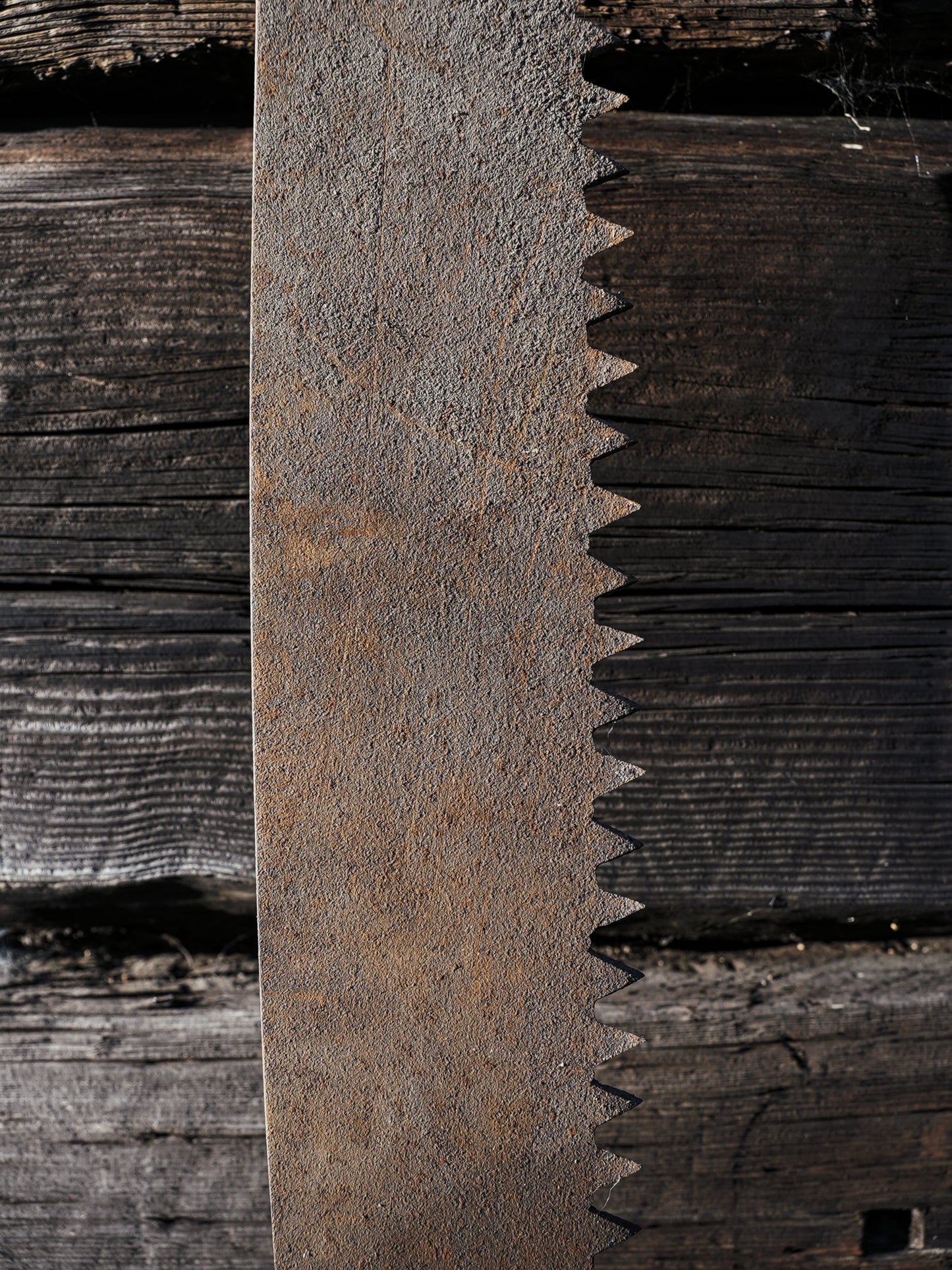 Antique Double Handled Saw