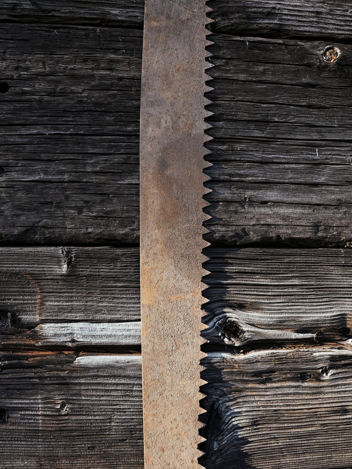 Antique Double Handled Saw