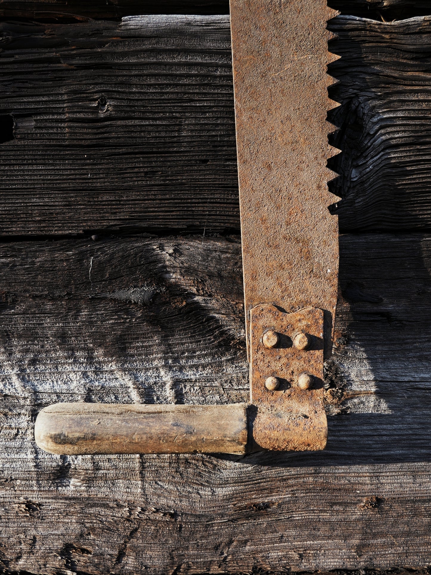 Antique Double Handled Saw