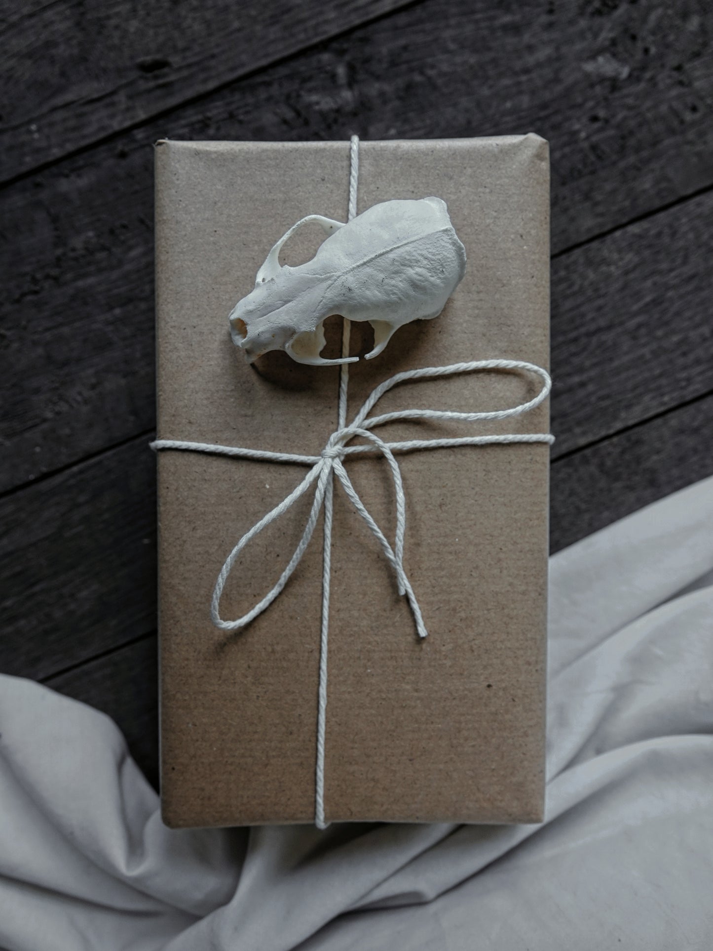 Natural History Mystery Boxes