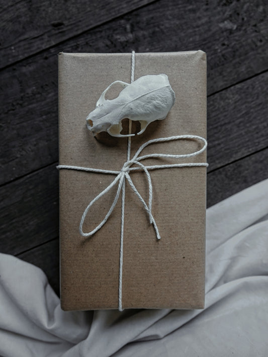 Natural History Mystery Boxes
