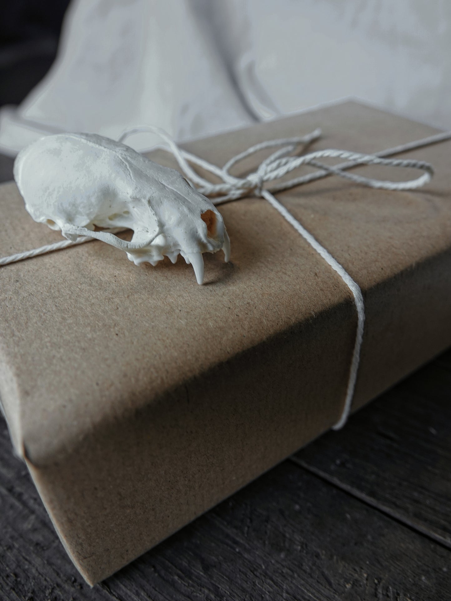 Natural History Mystery Boxes