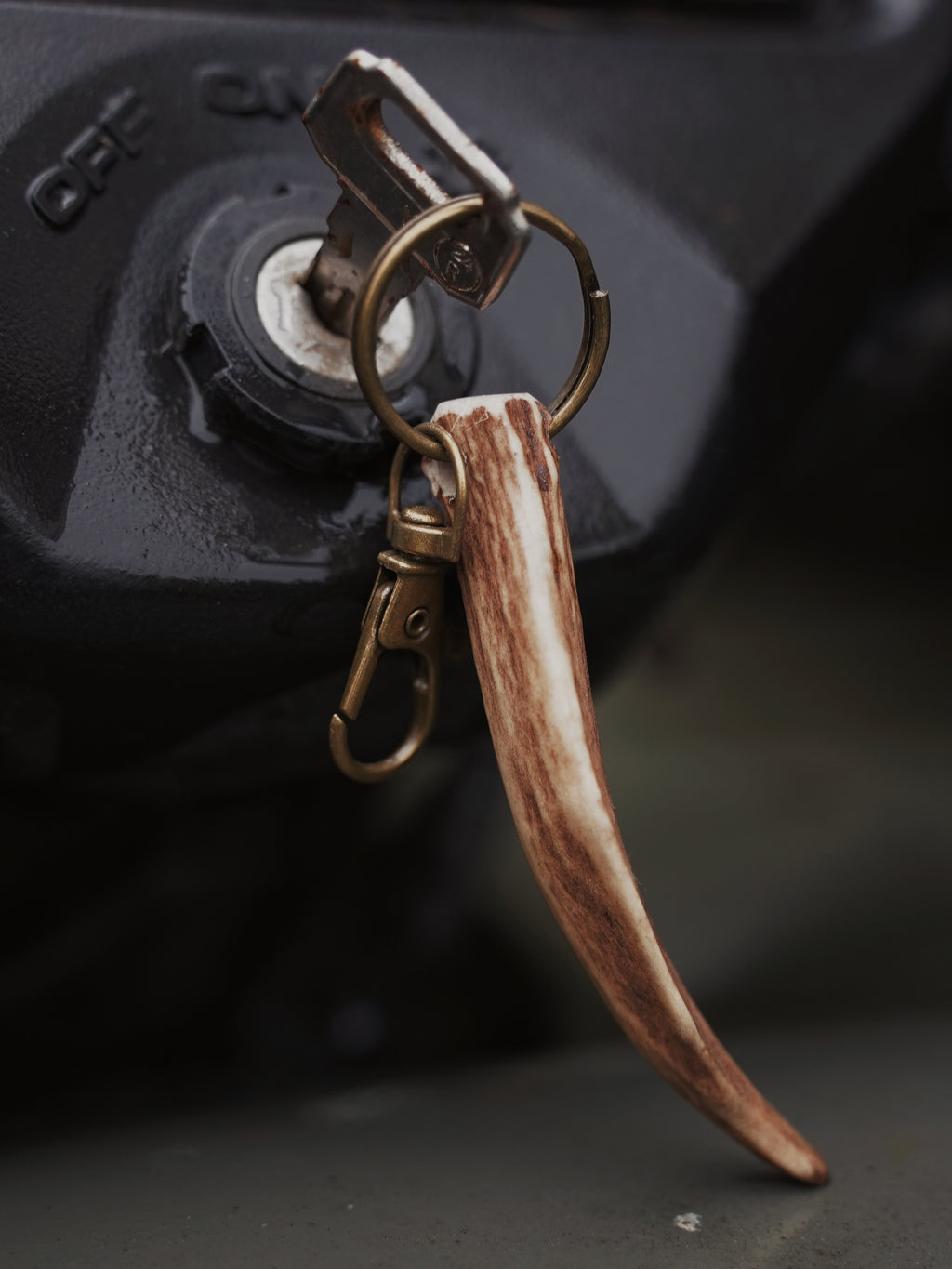 PALMATED ROE ANTLER KEYRING