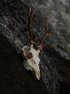 SMALL SIX POINT SIKA SKULL