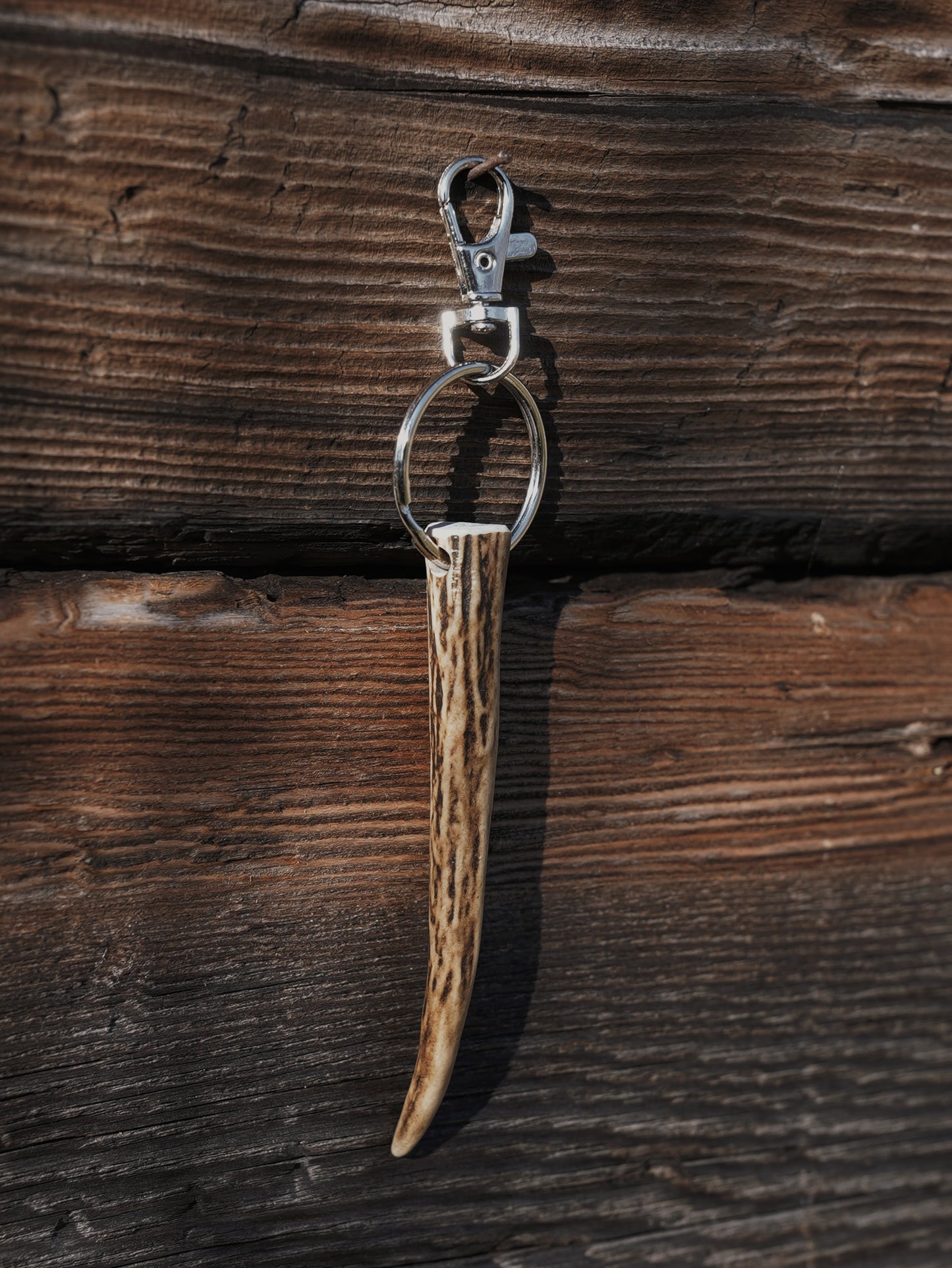 Smaller Sika Spiker Antler
