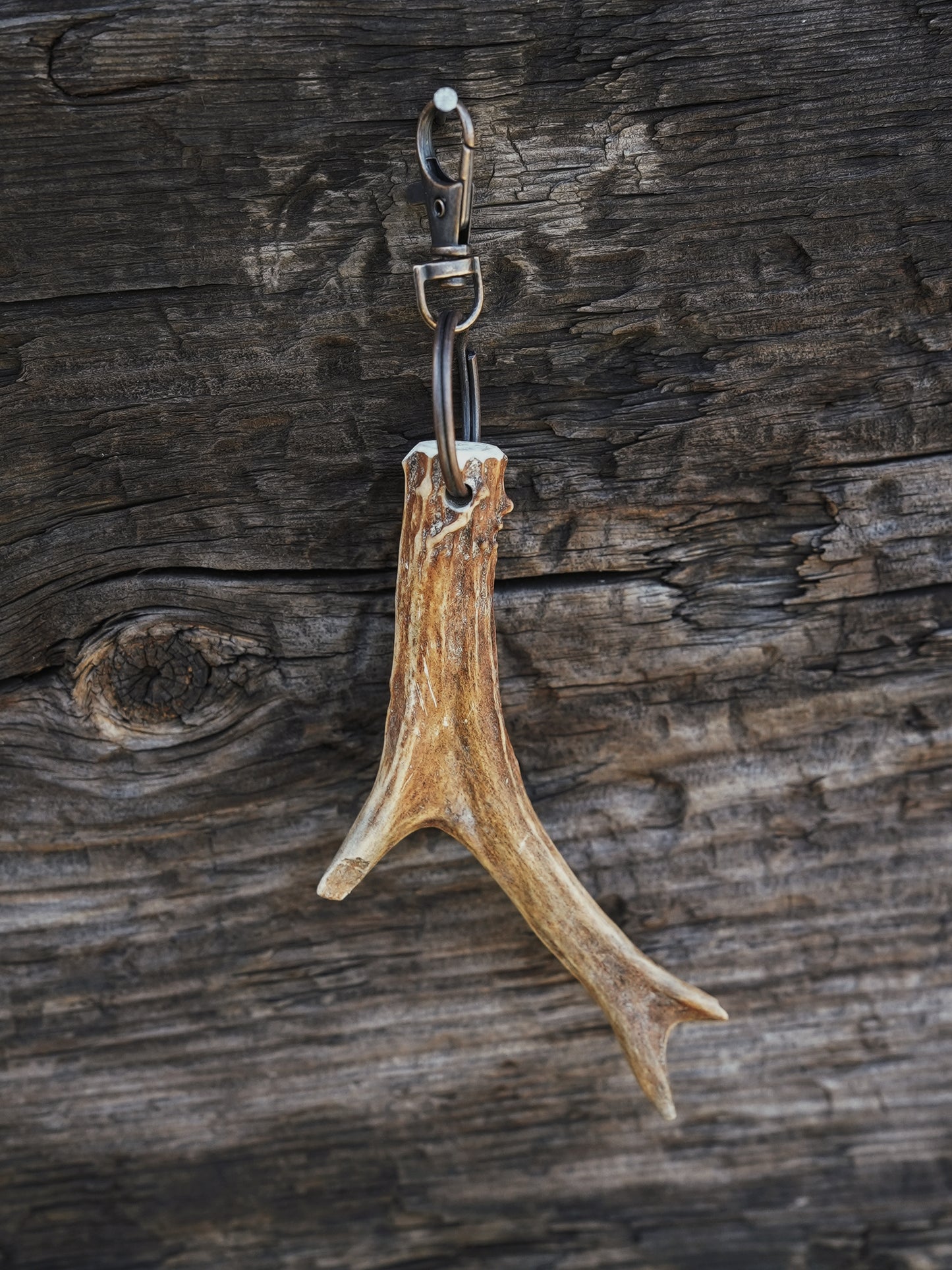 Broken Tine Roe Antler Keyring