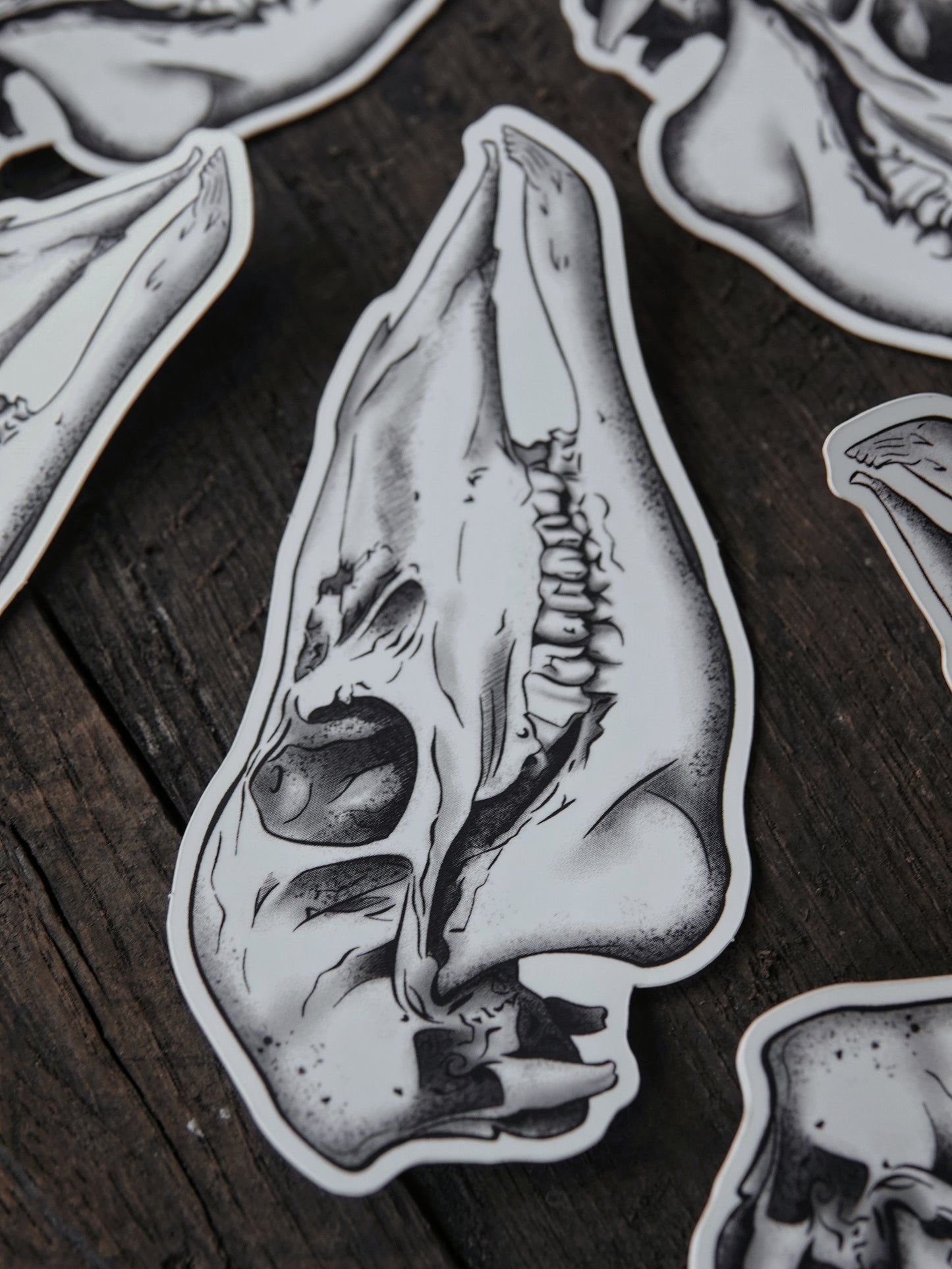 Cúruadh Hind Skull Vinyl Sticker