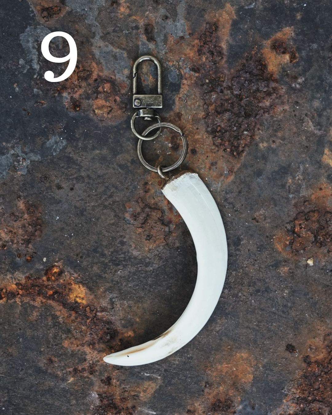 Wild Boar Tusk Keyrings
