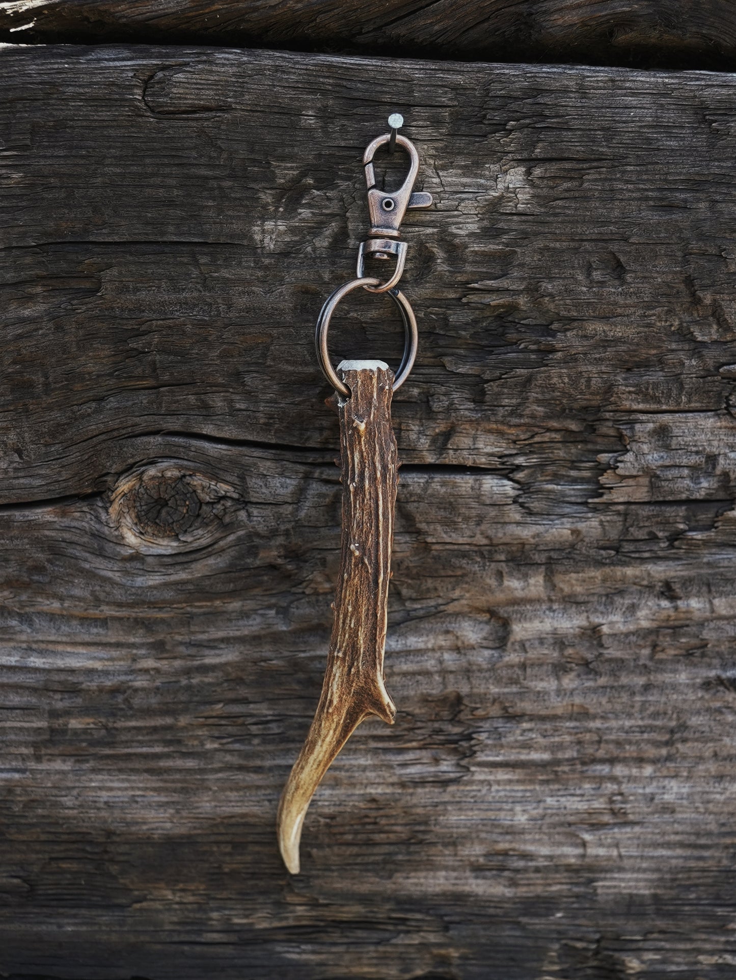 Long Roe Buck Antler Keyring