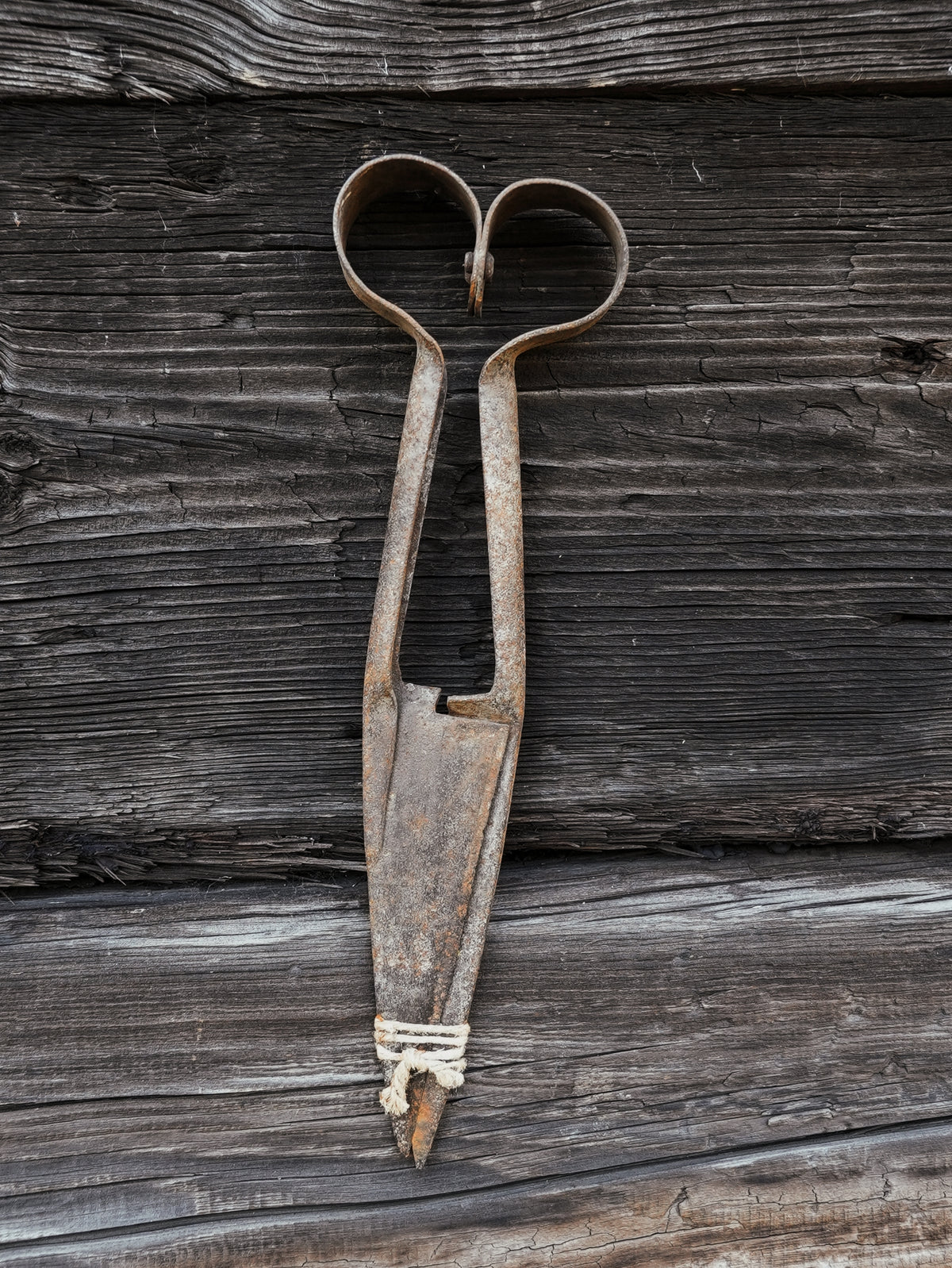RUSTY OLD DAGGING SHEARS