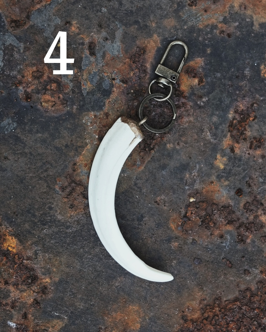 Wild Boar Tusk Keyrings