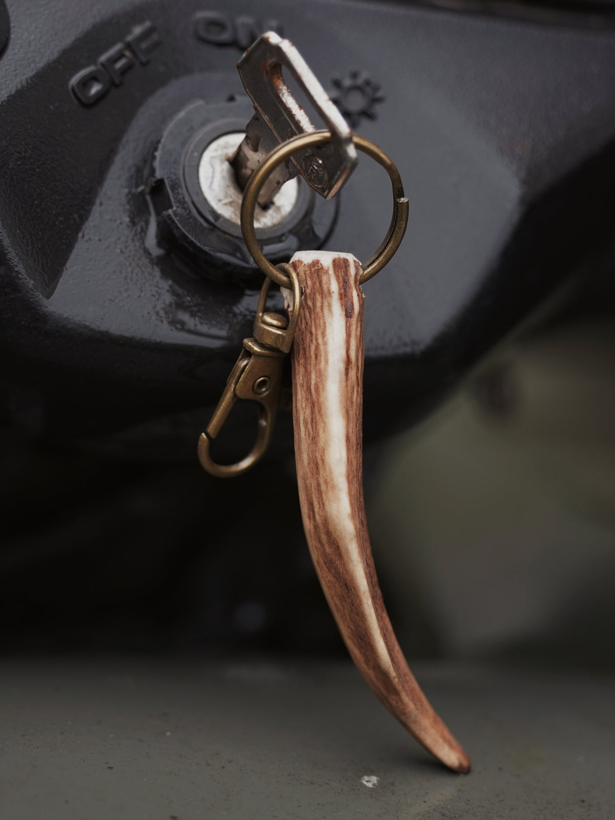 PALMATED ROE ANTLER KEYRING
