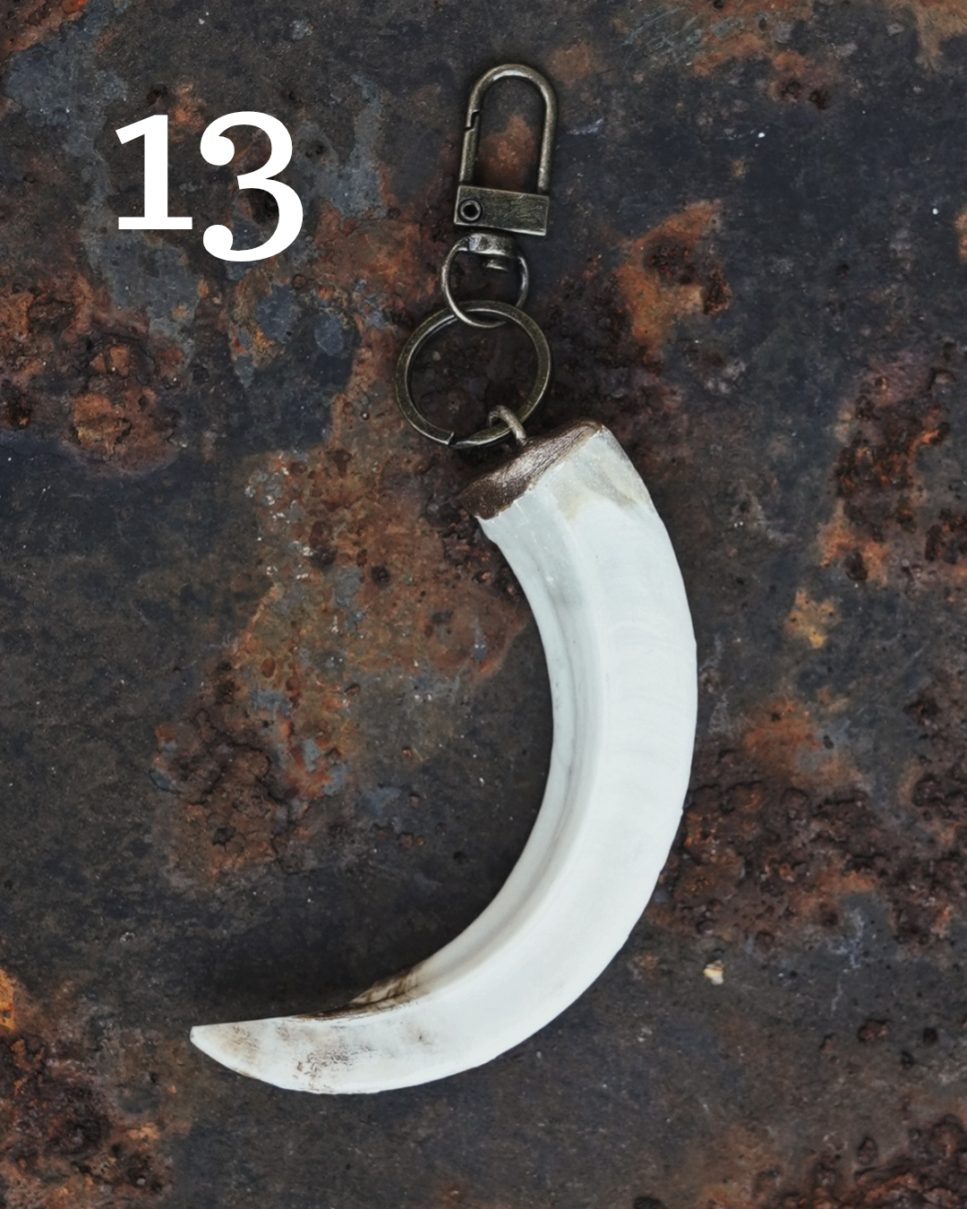 Wild Boar Tusk Keyrings