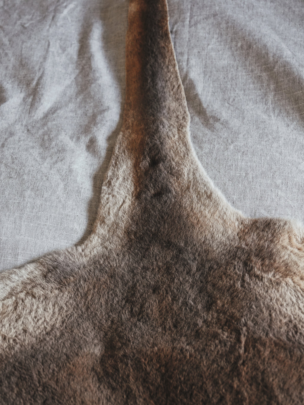 KANGAROO PELT