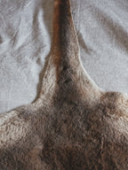 KANGAROO PELT