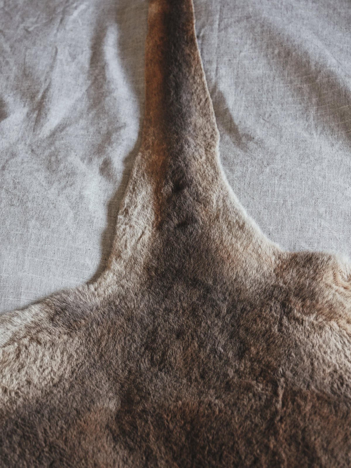 KANGAROO PELT