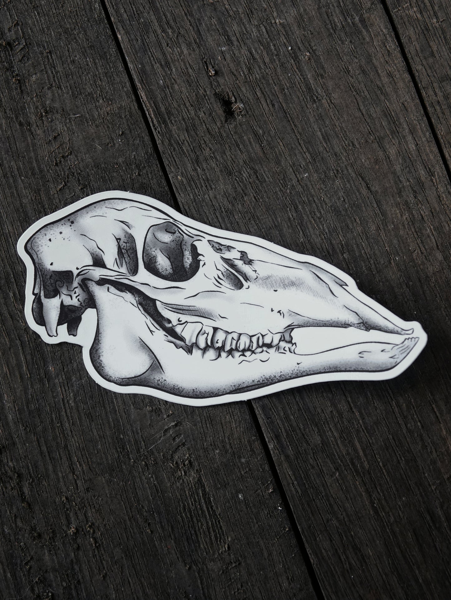 Cúruadh Hind Skull Vinyl Sticker