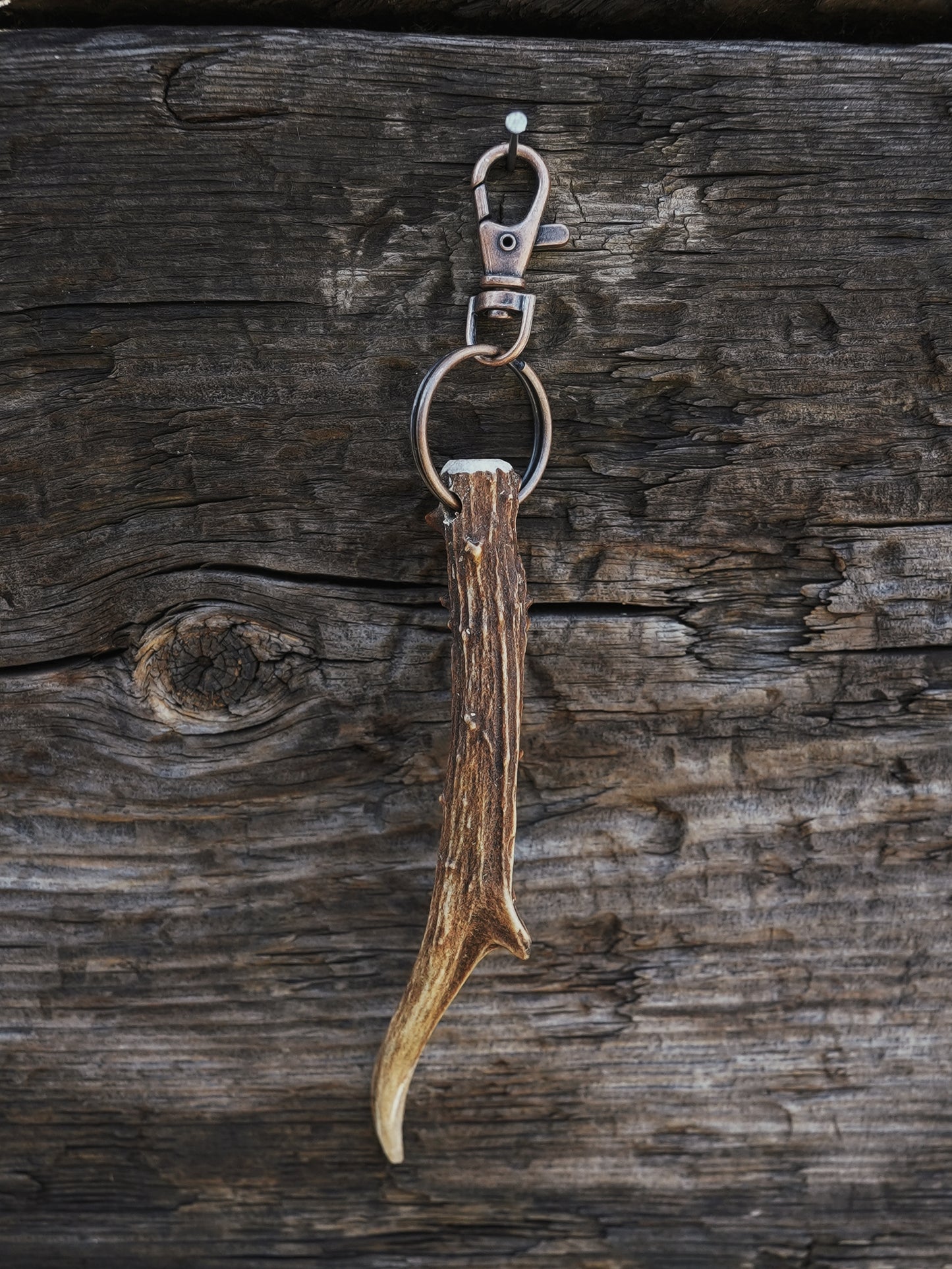 Long Roe Buck Antler Keyring