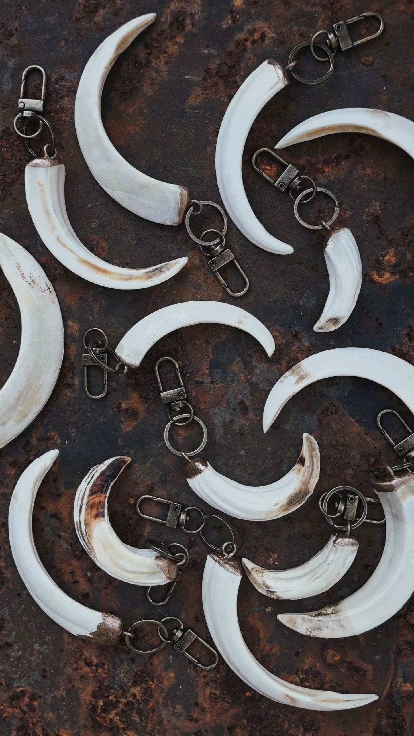 Wild Boar Tusk Keyrings