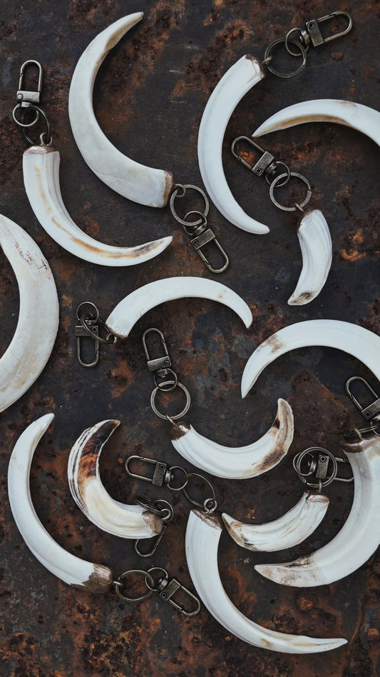 Wild Boar Tusk Keyrings