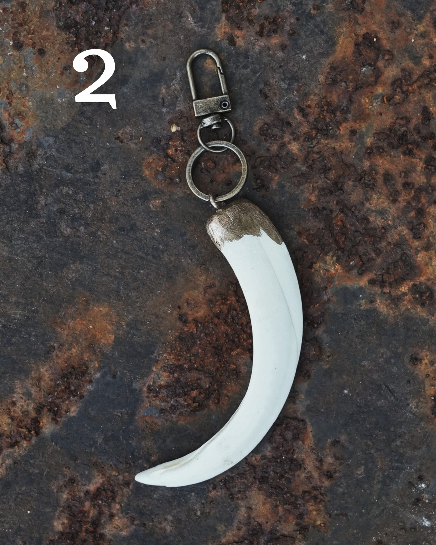 Wild Boar Tusk Keyrings