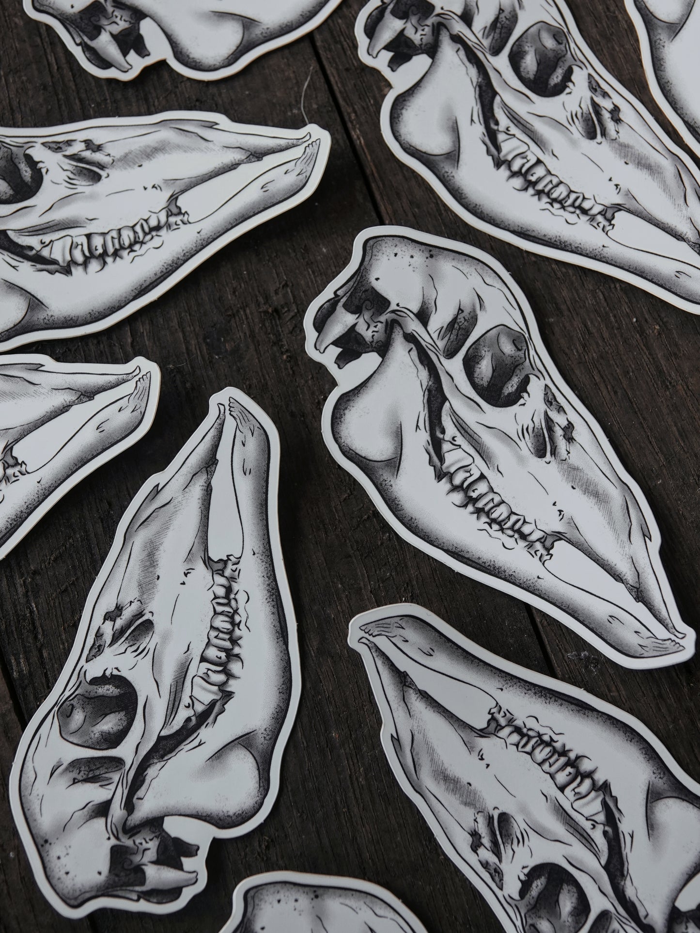 Cúruadh Hind Skull Vinyl Sticker