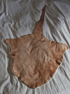 KANGAROO PELT