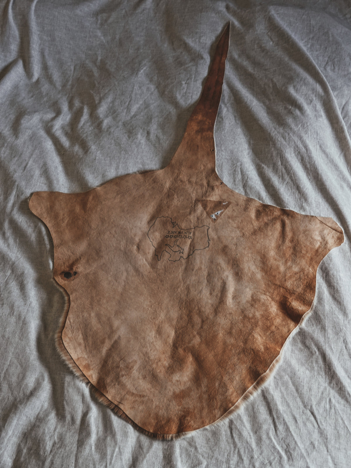 KANGAROO PELT
