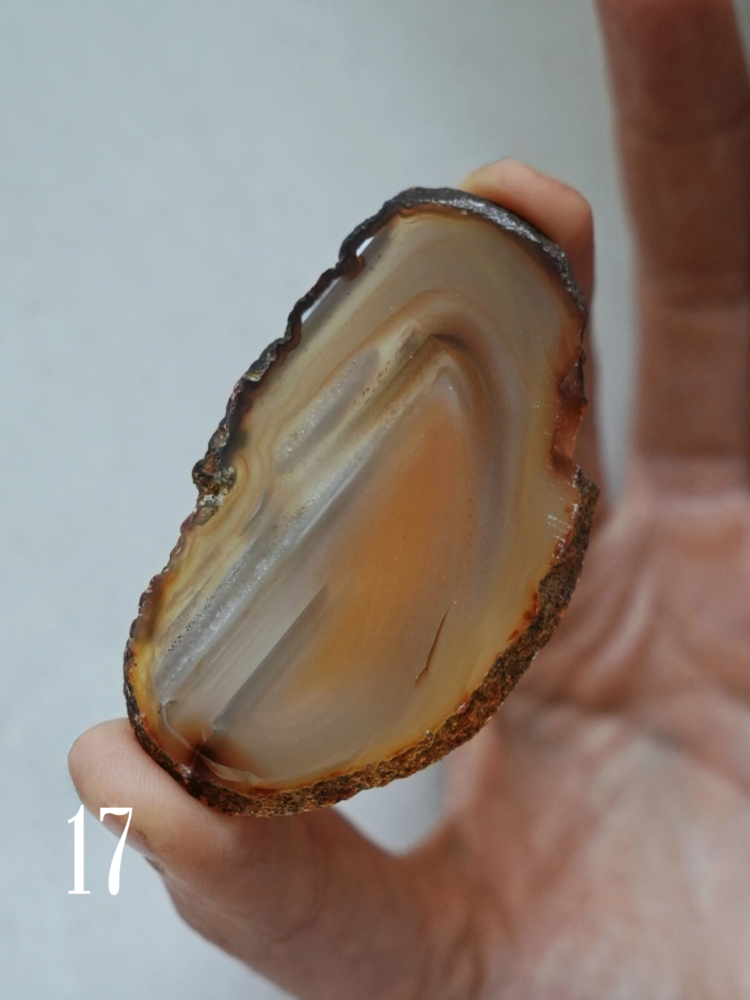 Agate Slices
