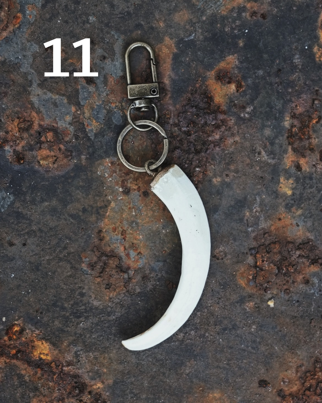 Wild Boar Tusk Keyrings