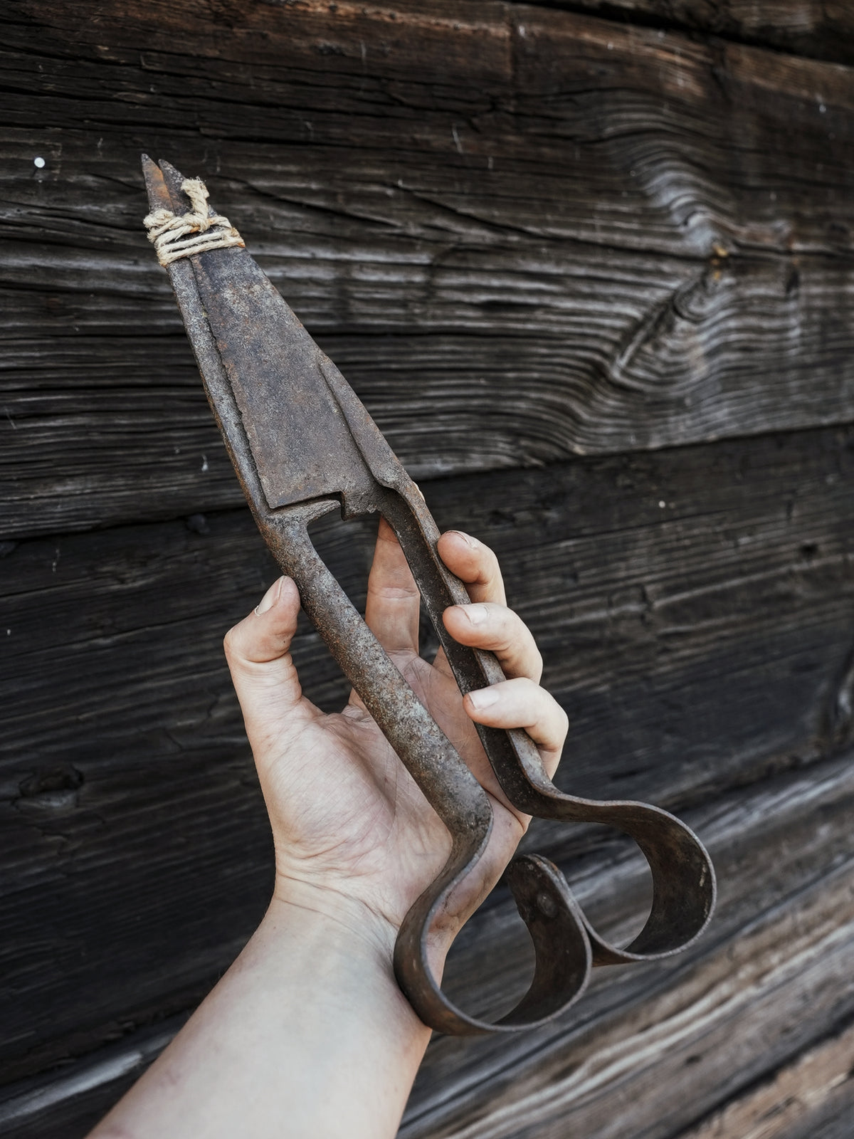 RUSTY OLD DAGGING SHEARS