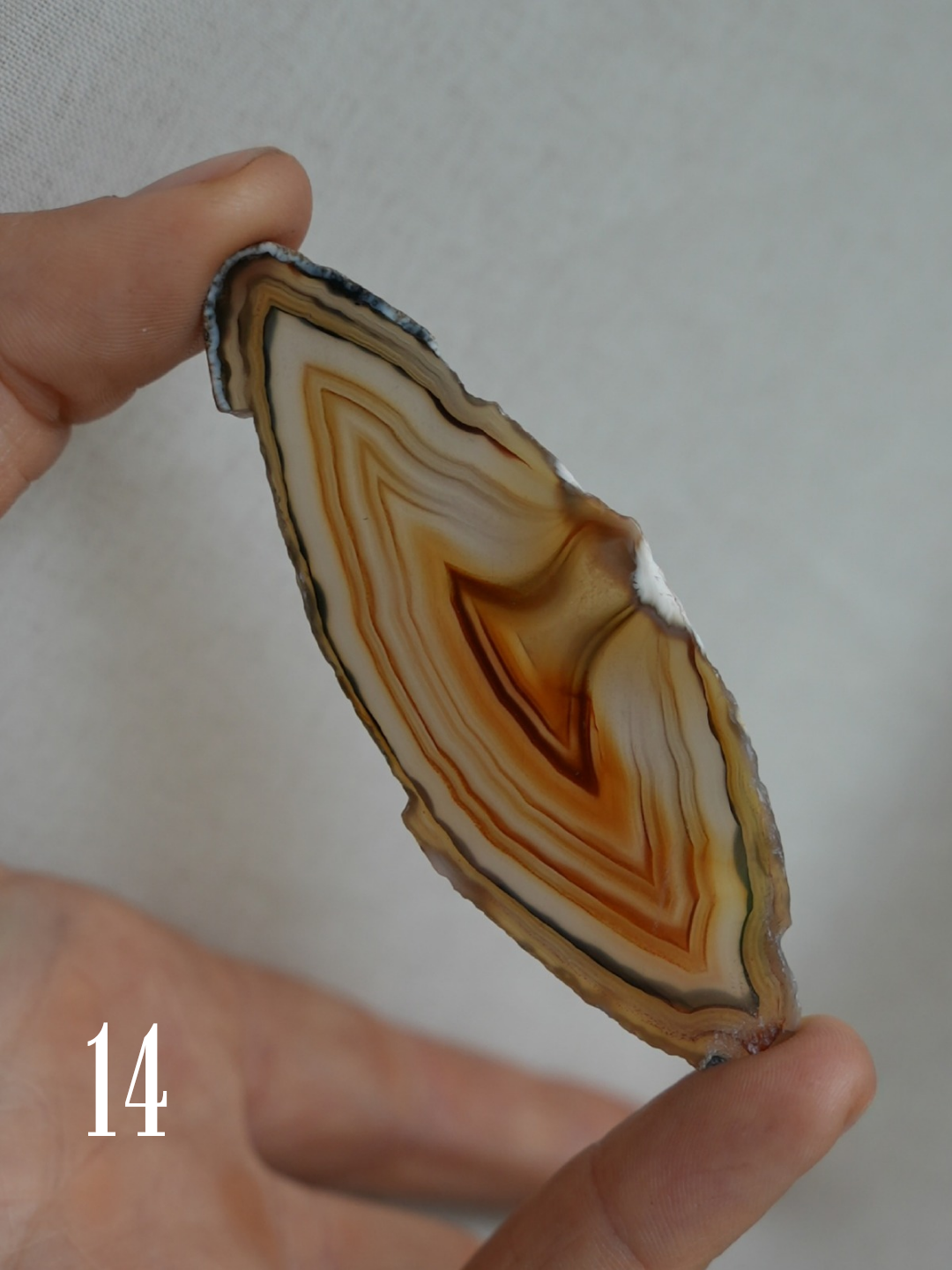 Agate Slices