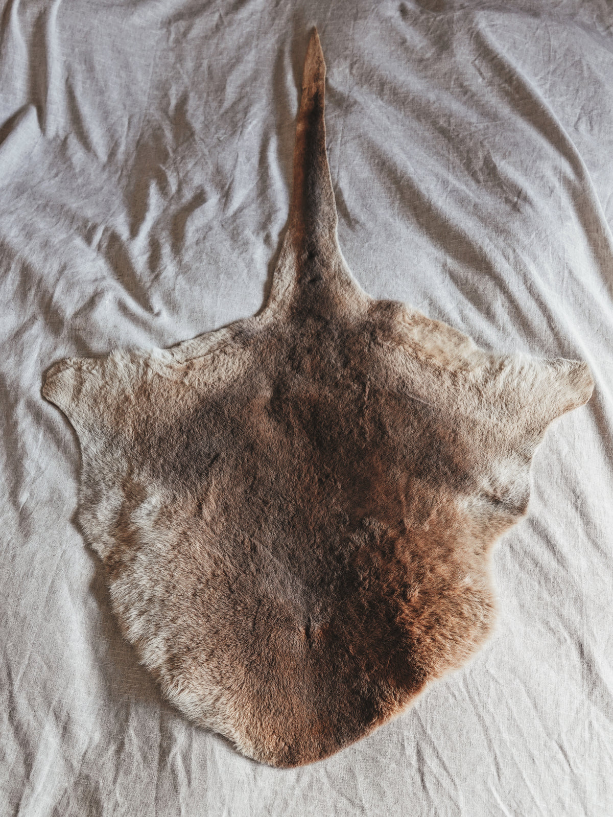 KANGAROO PELT