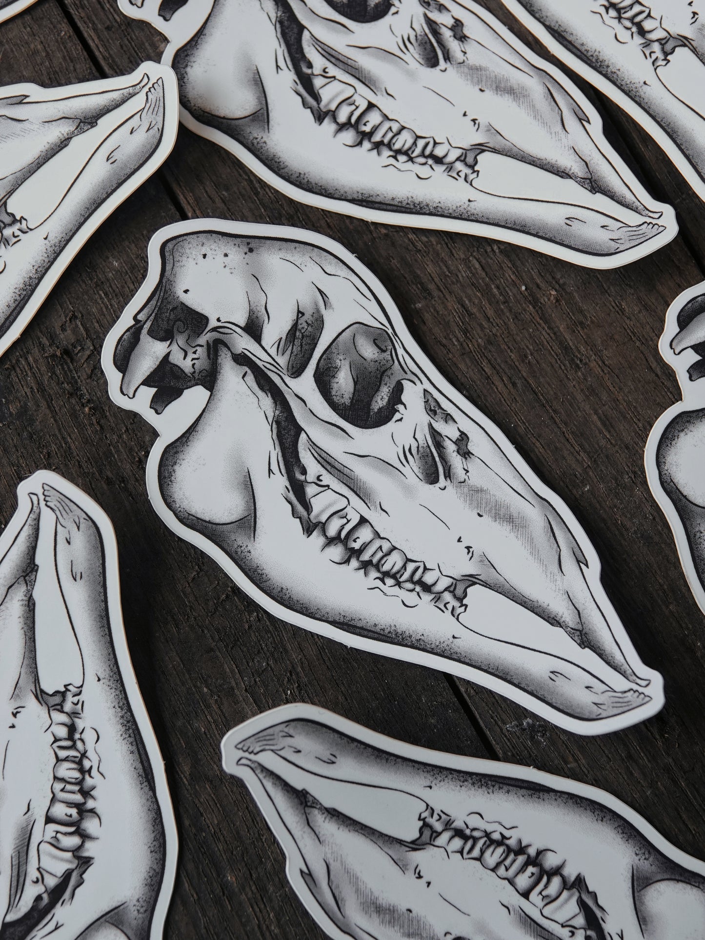 Cúruadh Hind Skull Vinyl Sticker