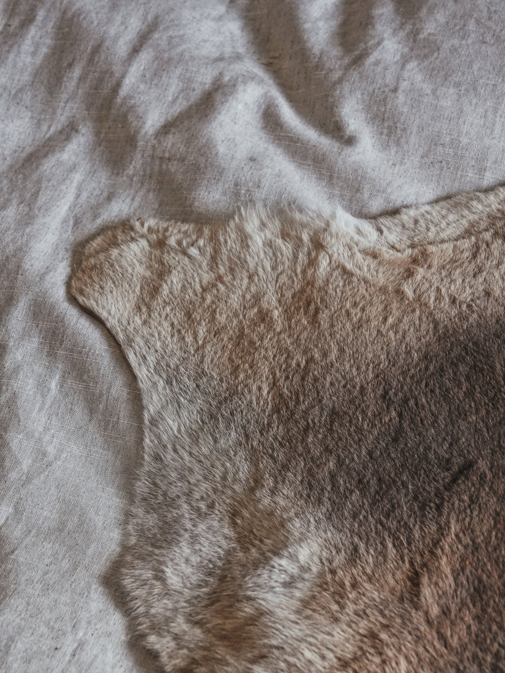 KANGAROO PELT