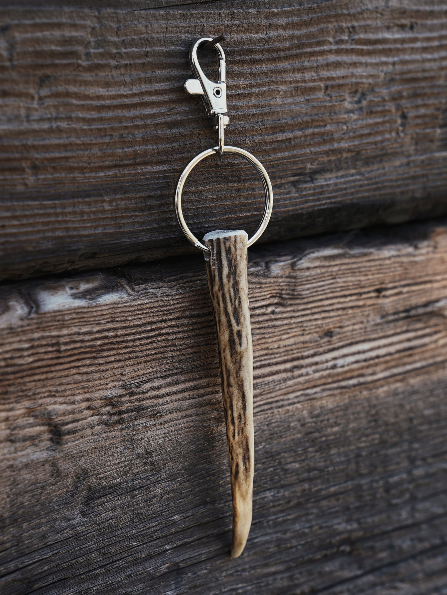 Smaller Sika Spiker Antler