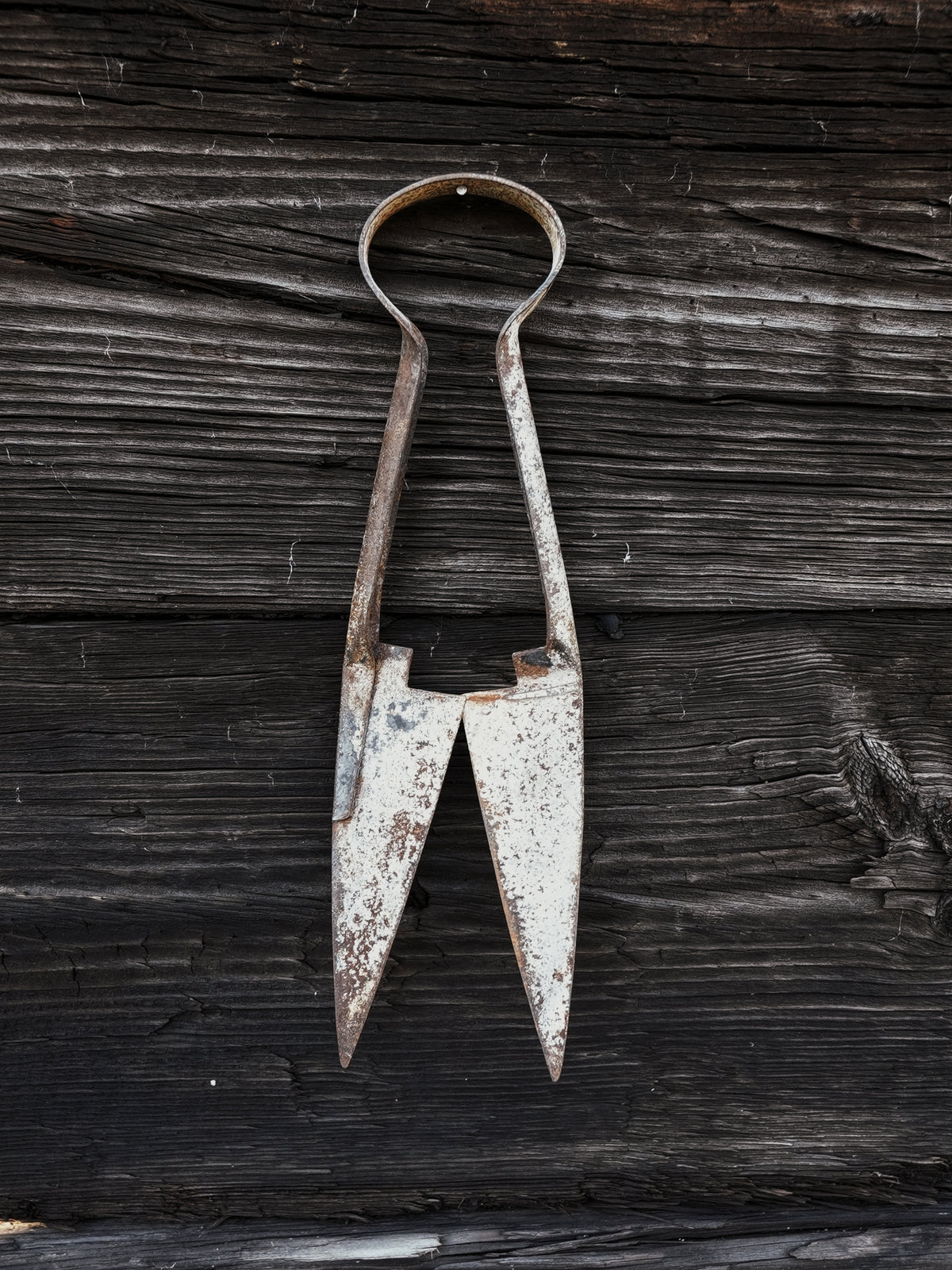 VINTAGE DAGGING SHEARS
