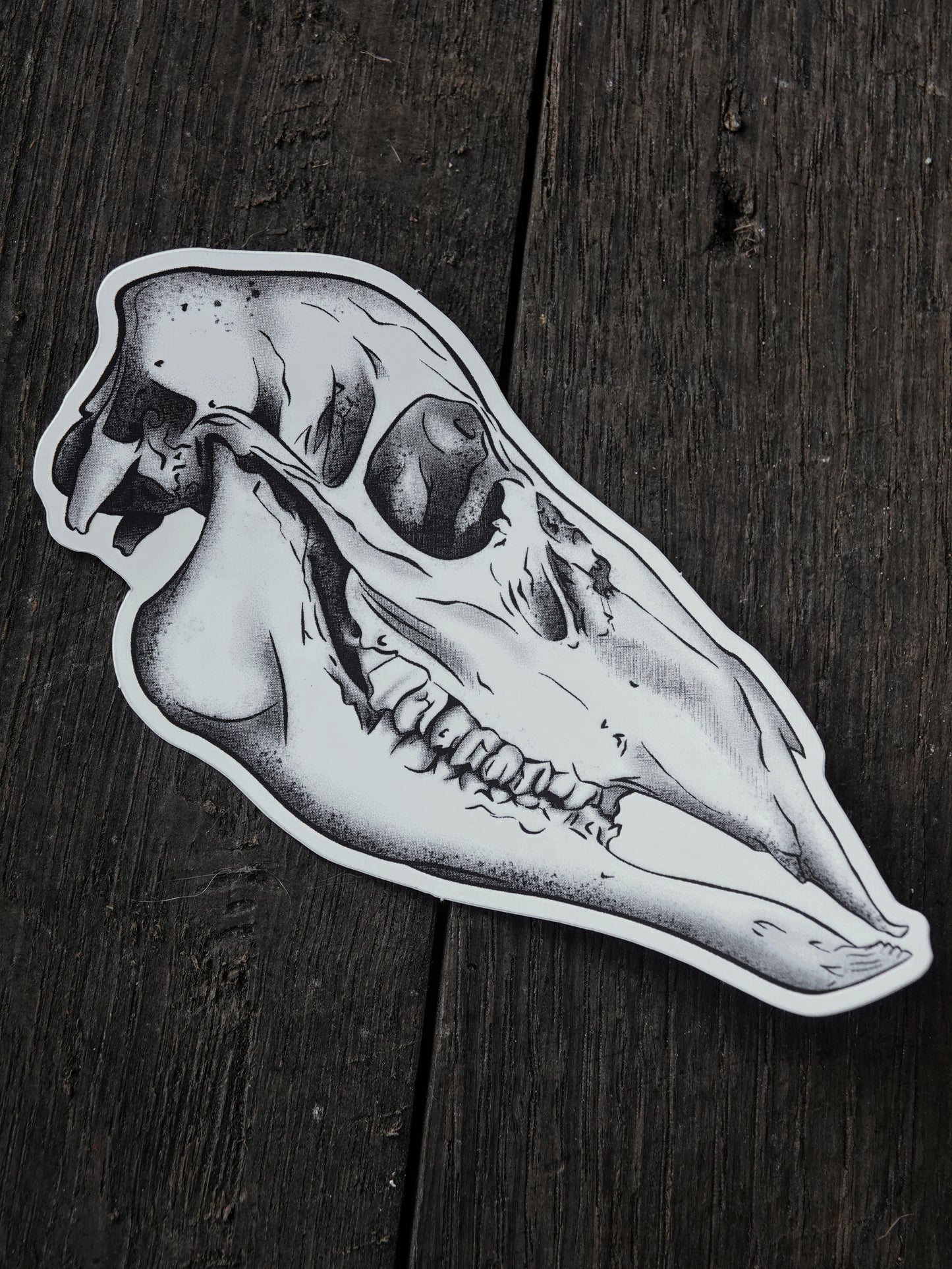 Cúruadh Hind Skull Vinyl Sticker