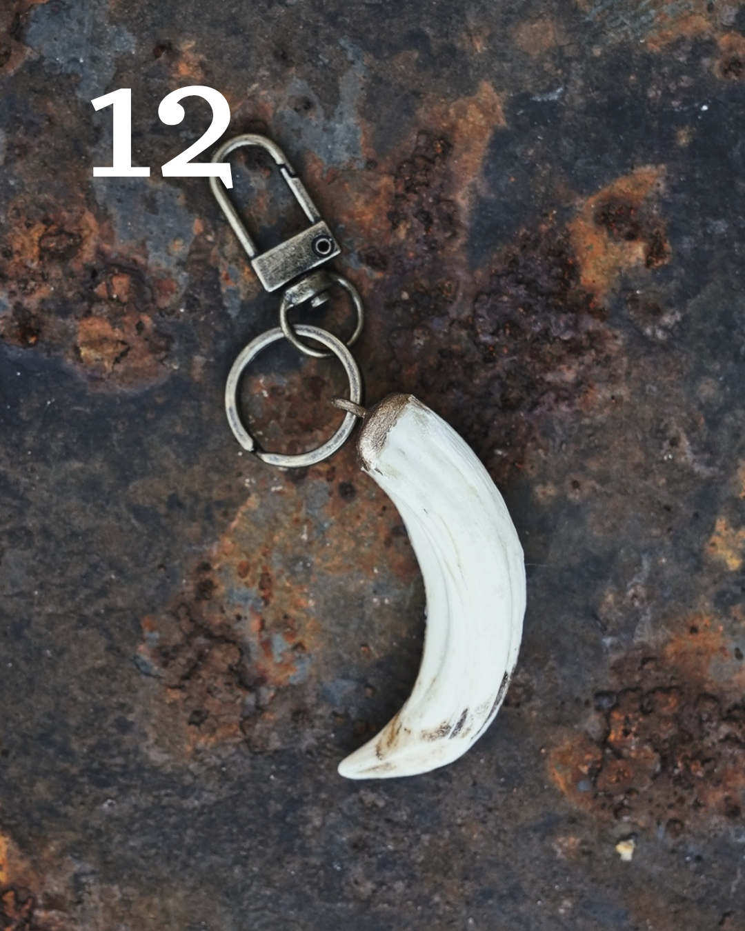 Wild Boar Tusk Keyrings