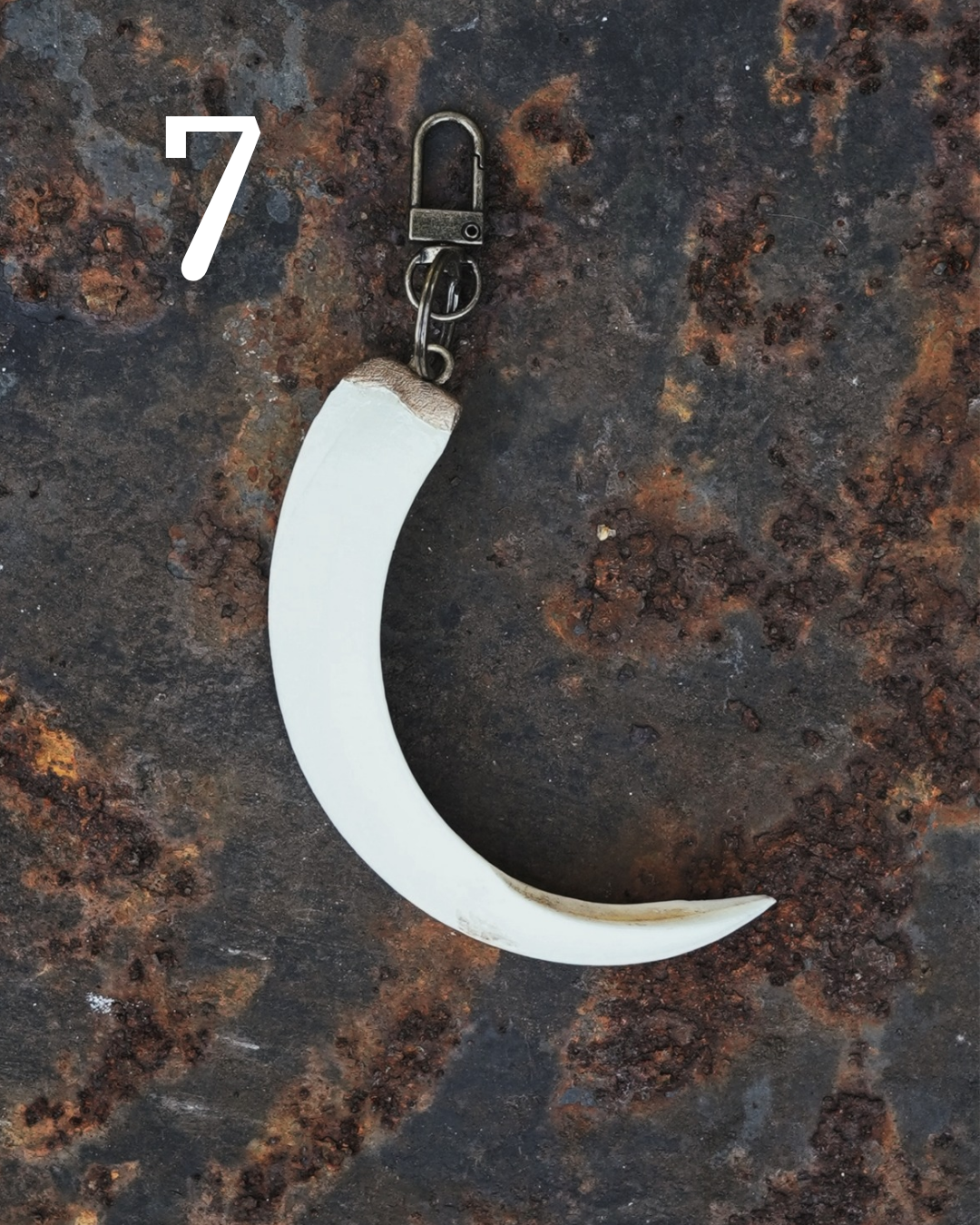 Wild Boar Tusk Keyrings
